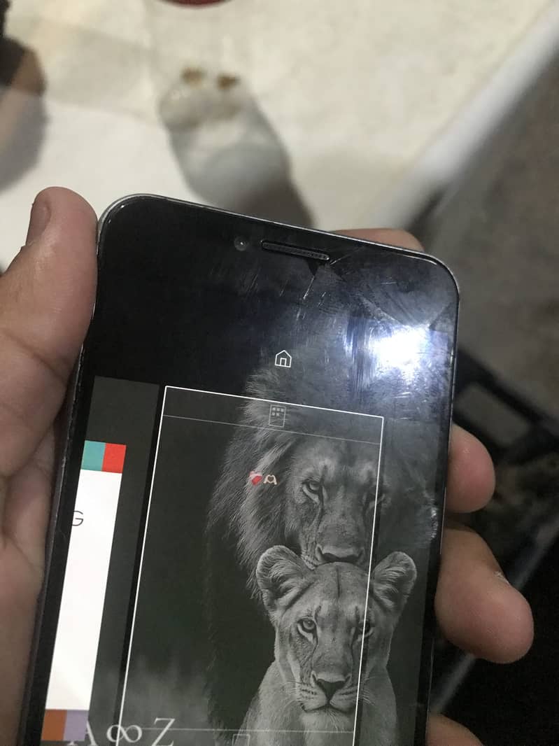 Samsung Mobile C5 2
