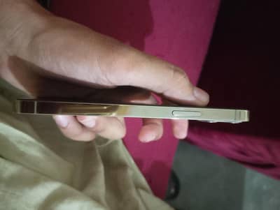 Apple iPhone 12 Pro