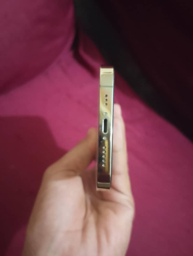 Apple iPhone 12 Pro 2