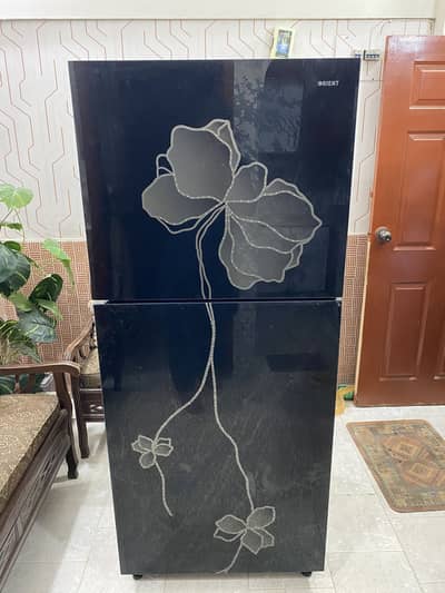 Orient Refrigerator Glass Door