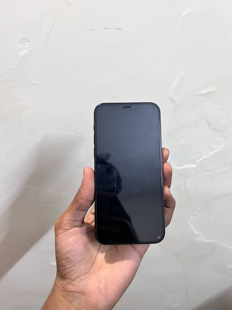 Apple iPhone 12 1