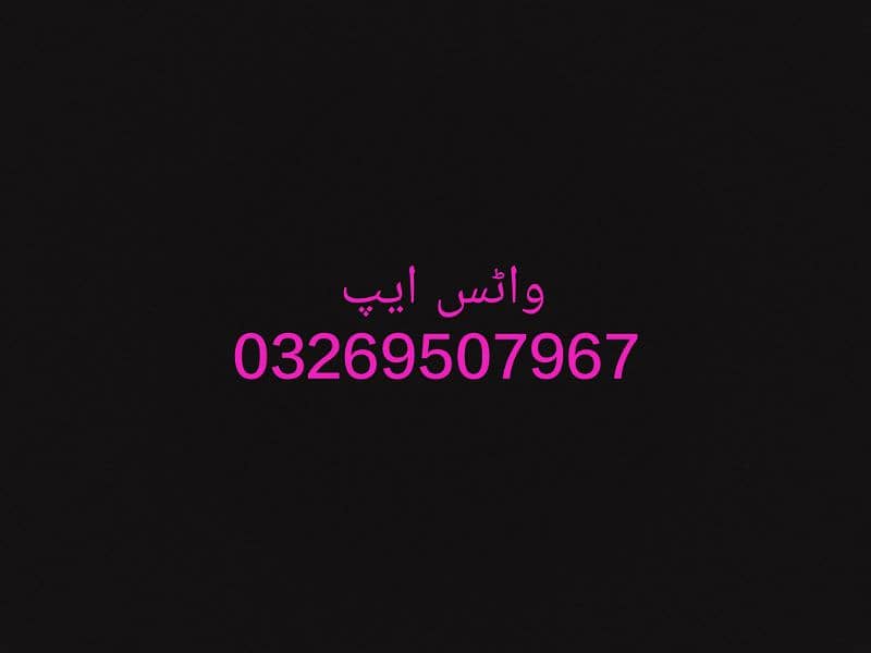 کشمیری را بولنے والا طوطا واٹس ایپ نمبر رابطہ کریں 1