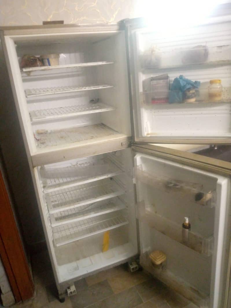 Pel fridge 1