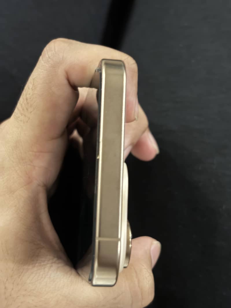 Apple iPhone 16 Pro Max 1