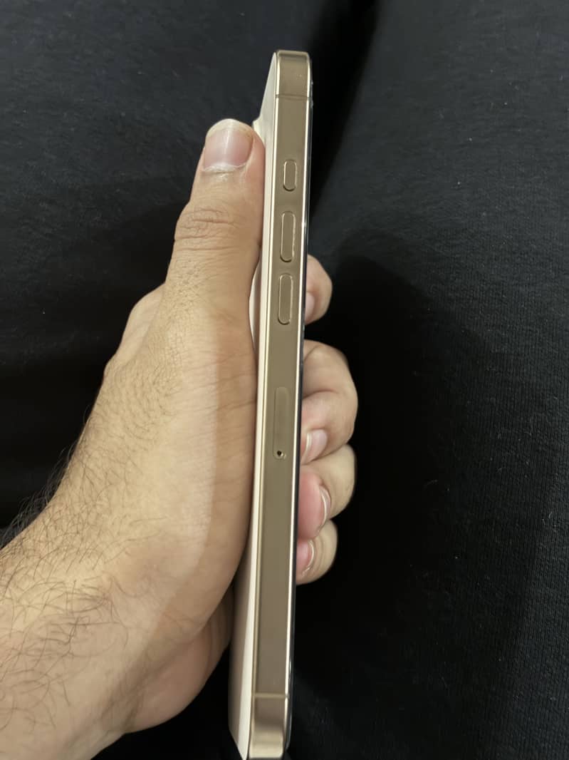 Apple iPhone 16 Pro Max 2