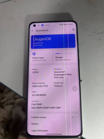 One Plus 9 Pro