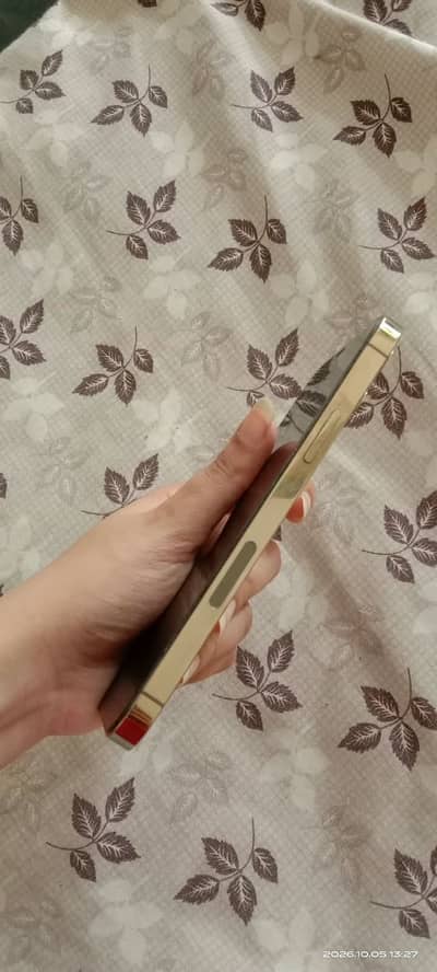 Apple iPhone 12 Pro