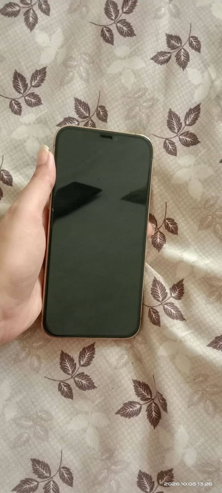 Apple iPhone 12 Pro 4