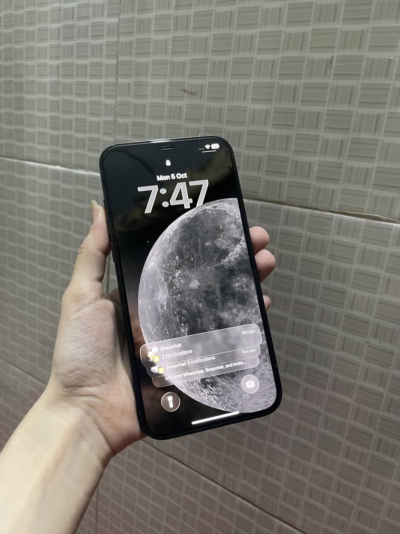 Apple iPhone 12 Pro Max 1