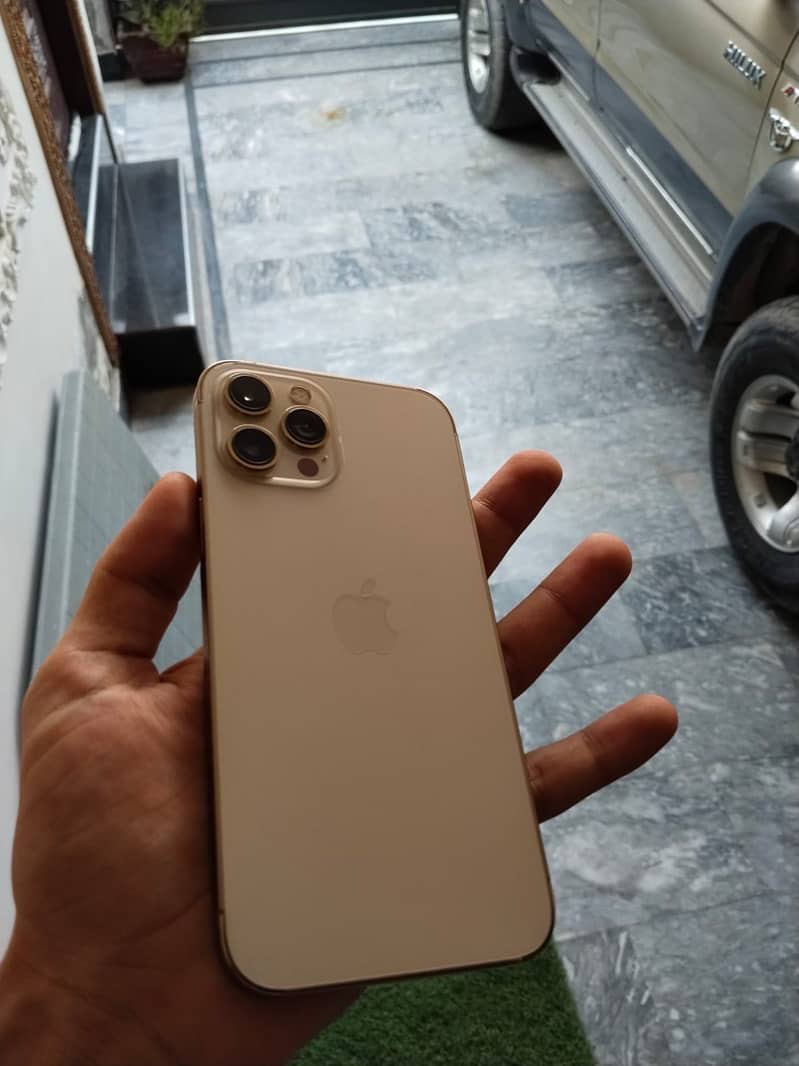 Apple iPhone 12 Pro Max 2