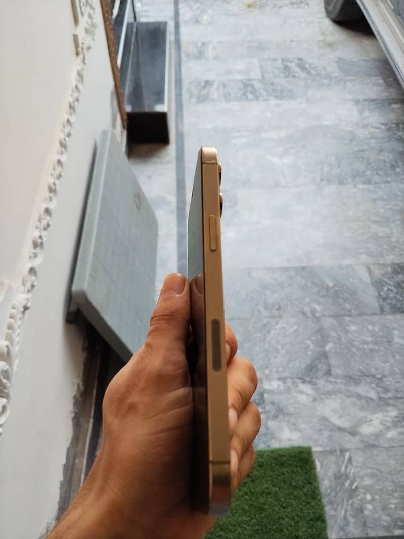 Apple iPhone 12 Pro Max 5