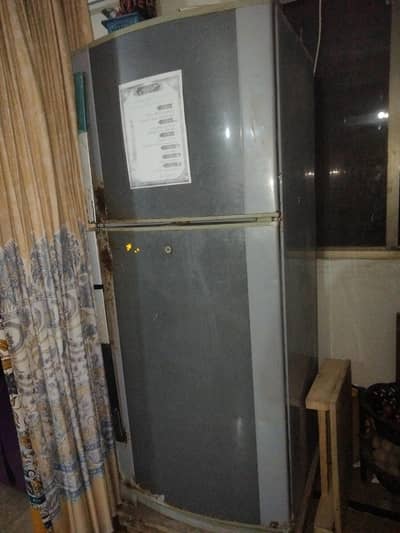 fridge Pel