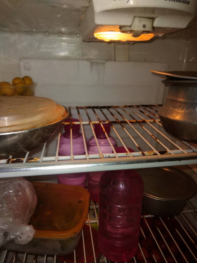 fridge Pel 3