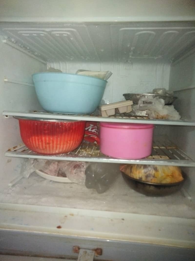 fridge Pel 5
