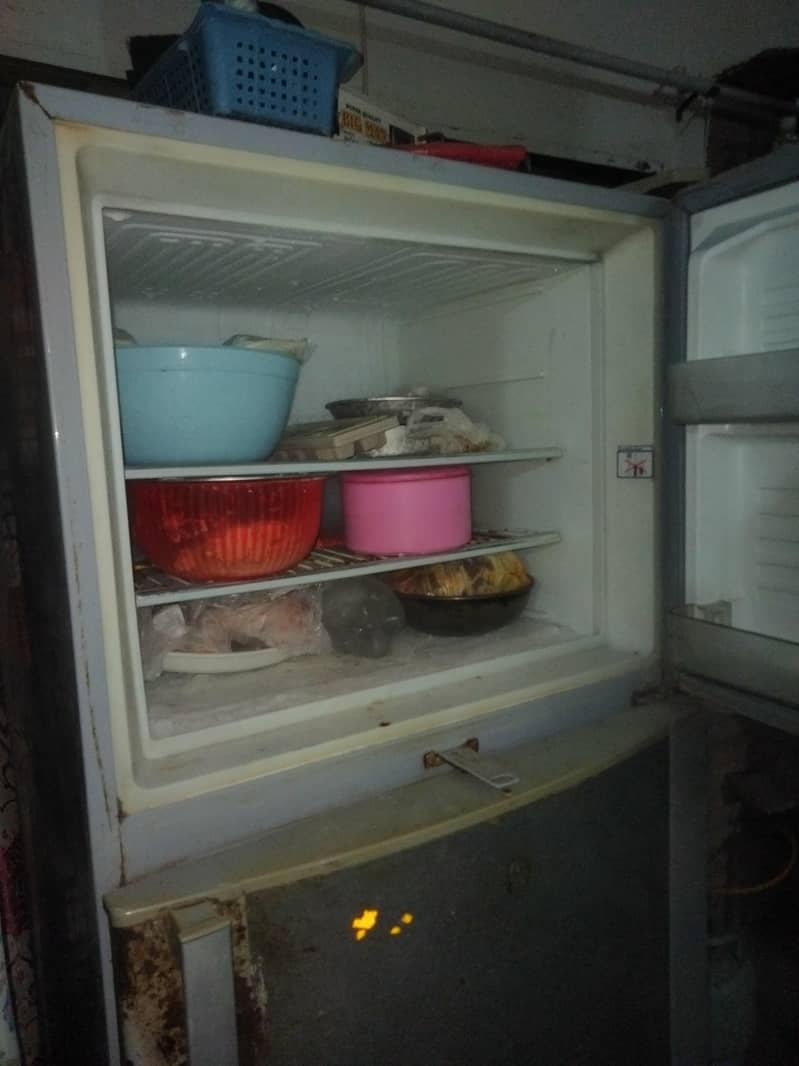 fridge Pel 6