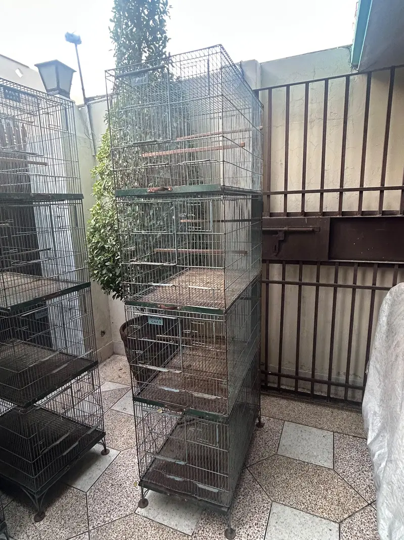 Birds Cage — photo 2