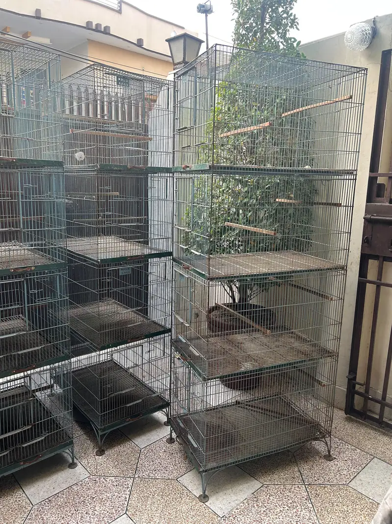 Birds Cage — photo 8