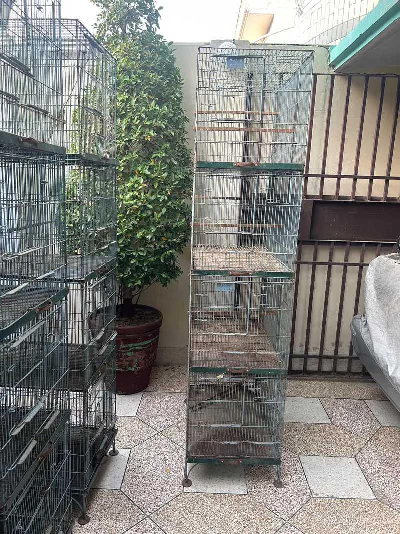 Birds Cage — photo 9