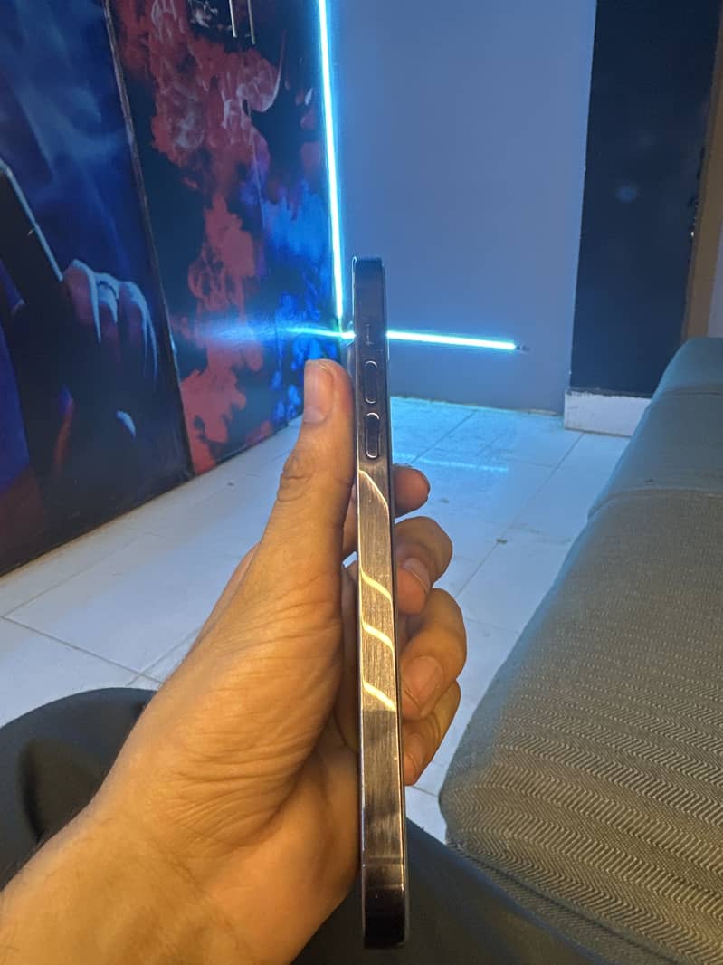 Apple iPhone 14 Pro Max 2
