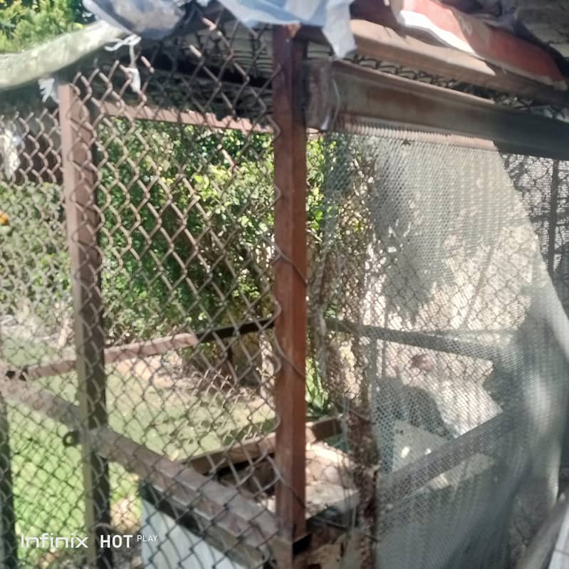 HEAVY SOLID STEEL CAGE 0