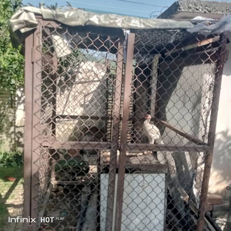 HEAVY SOLID STEEL CAGE 1