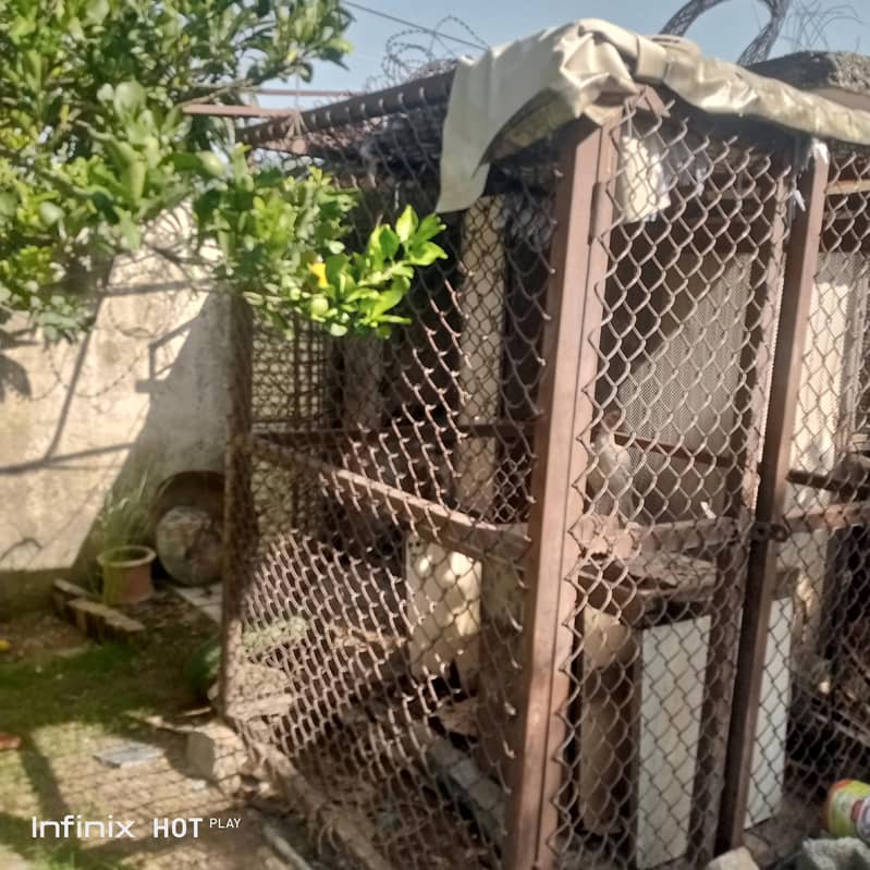 HEAVY SOLID STEEL CAGE 2