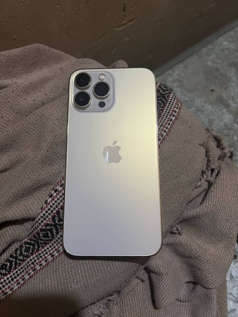 Apple iPhone 13 Pro Max 1