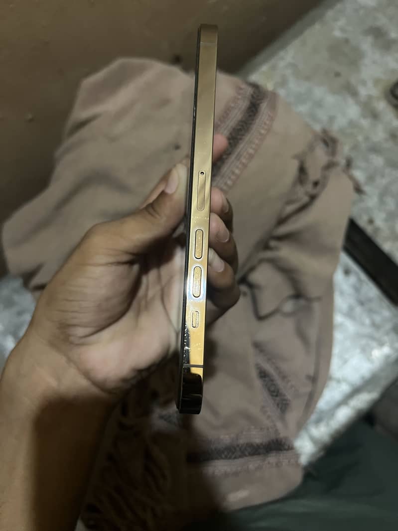 Apple iPhone 13 Pro Max 2