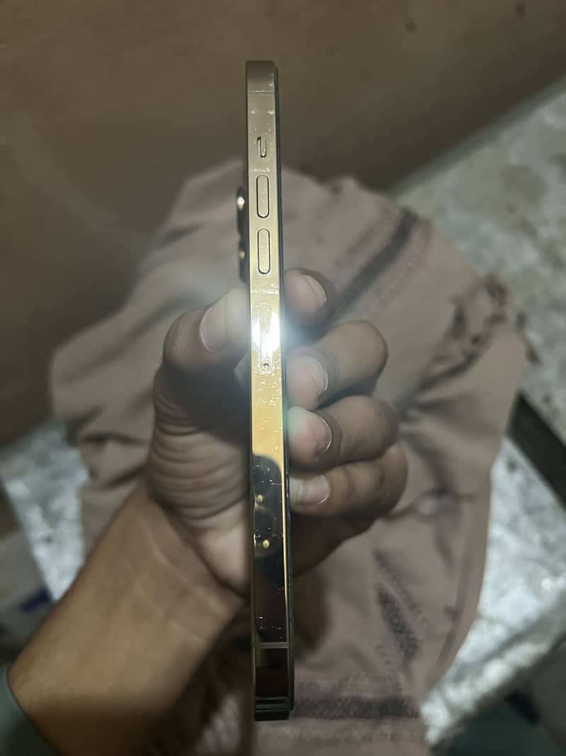 Apple iPhone 13 Pro Max 6