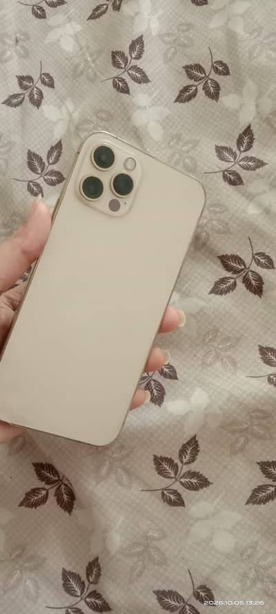 Apple iPhone 12 Pro