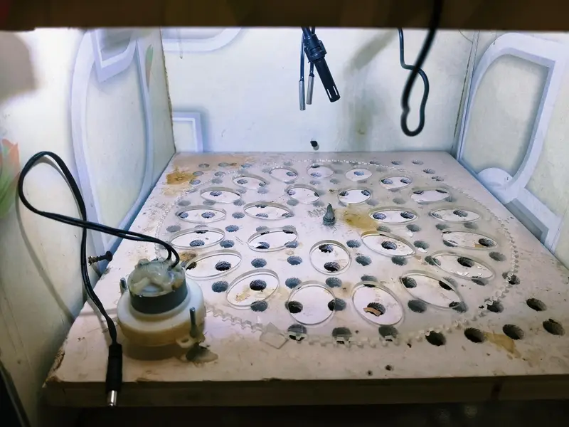 Fully automatic 30 eggs incubator auto turning + auto temperature — photo 3