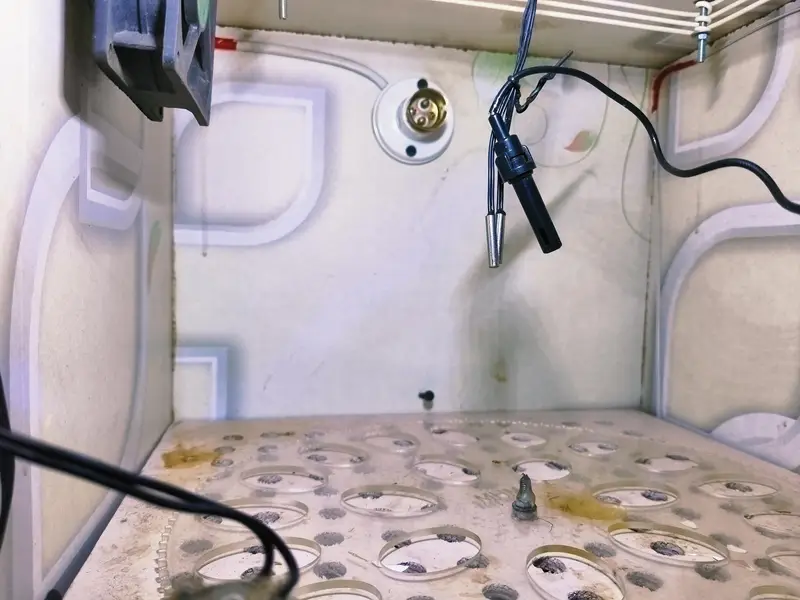 Fully automatic 30 eggs incubator auto turning + auto temperature — photo 5