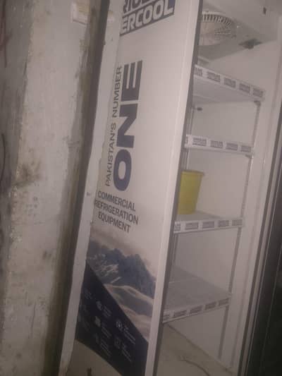 Glass Door Visi Cooler / Display Refrigerator – Excellent Deal
