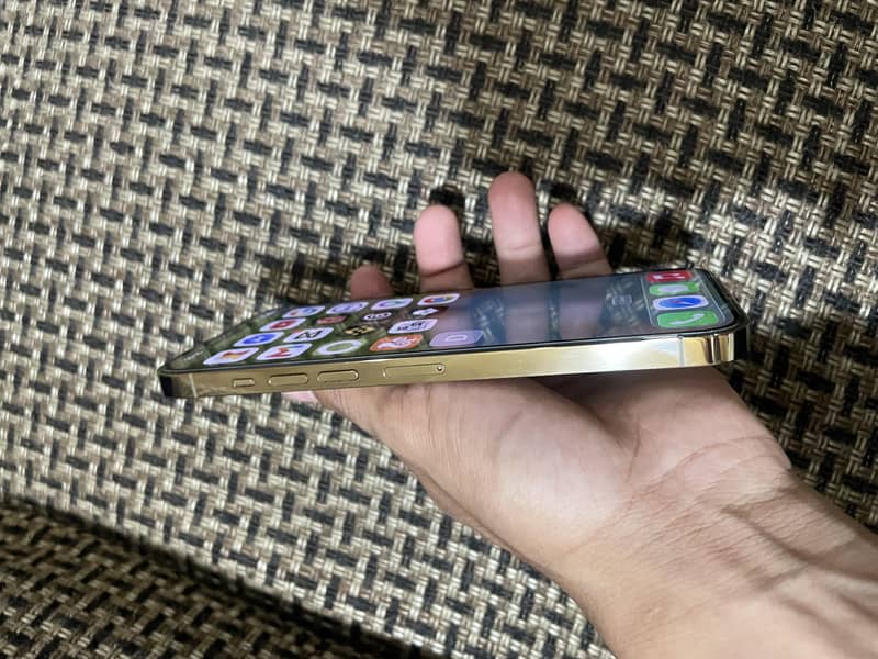 Apple iPhone 13 Pro Max 1