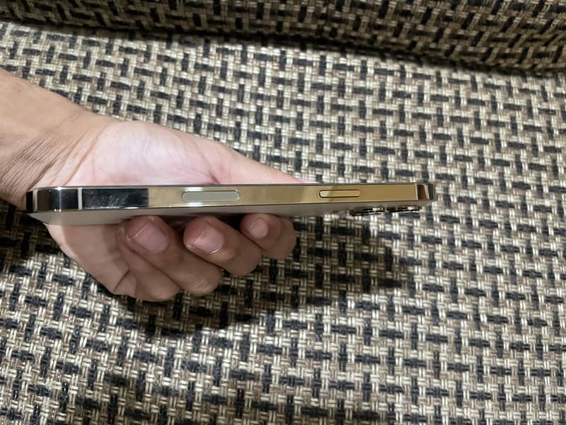 Apple iPhone 13 Pro Max 2