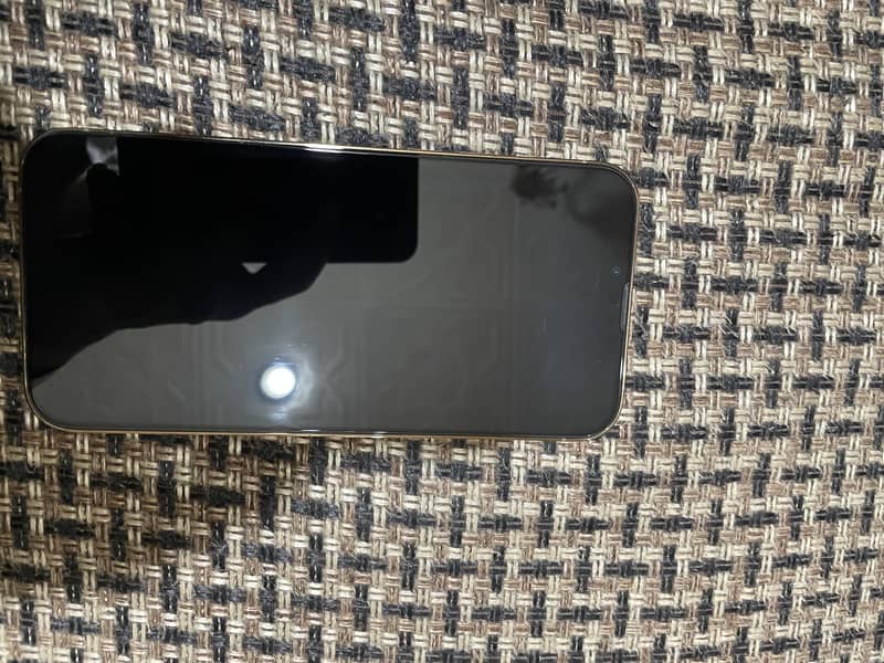 Apple iPhone 13 Pro Max 3