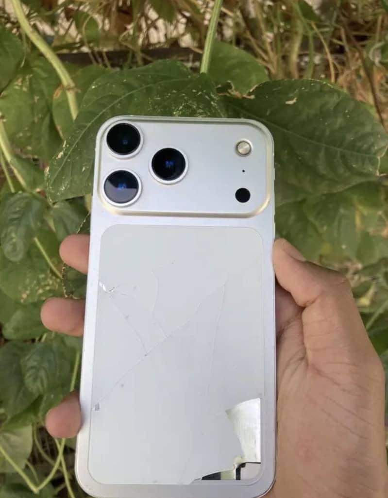 Apple iPhone 11 0