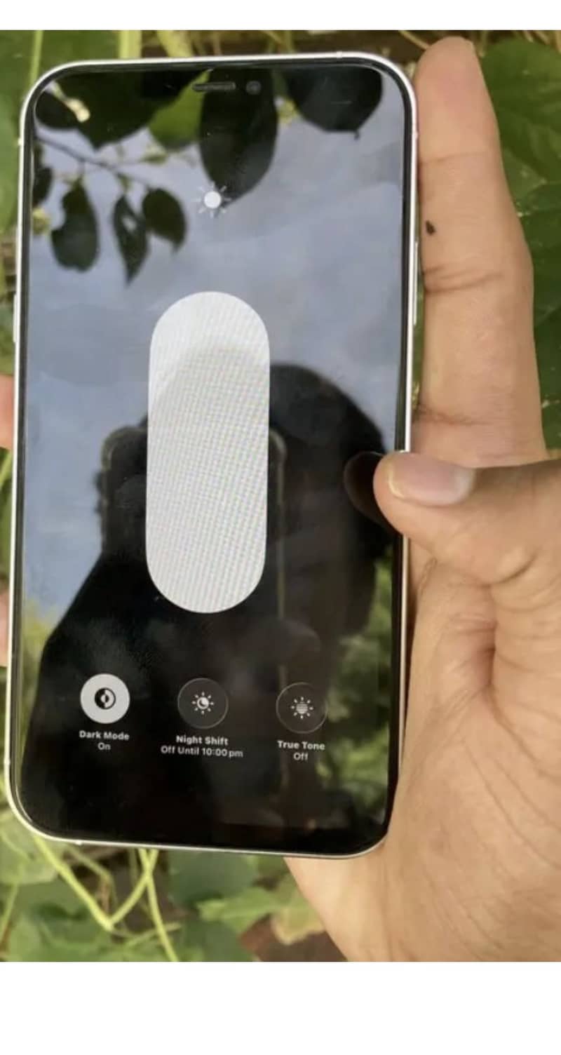 Apple iPhone 11 2