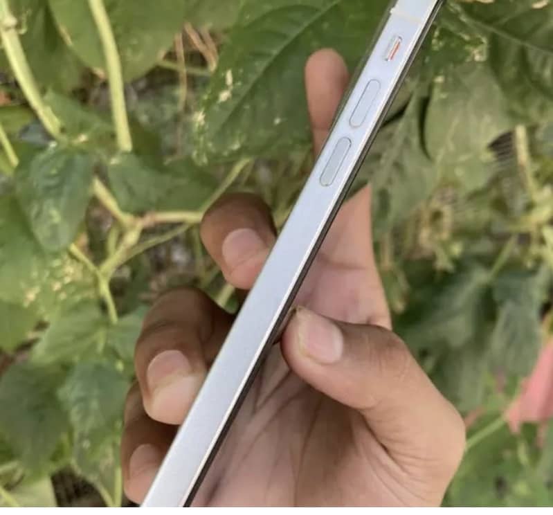 Apple iPhone 11 3