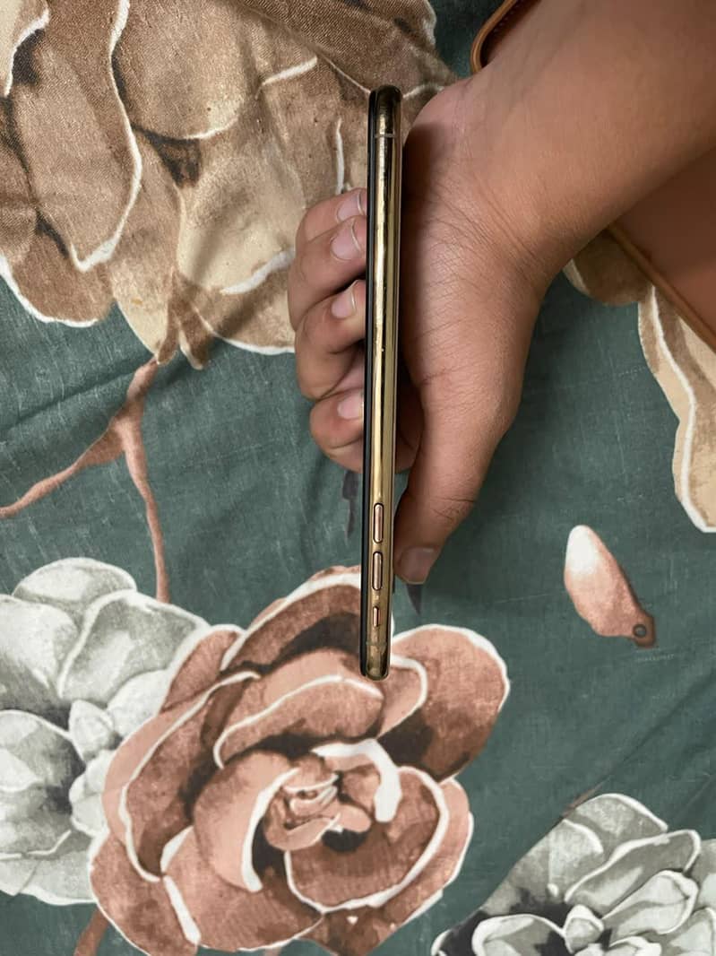 Apple iPhone XS Max 2