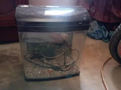 fish aquarium coplate kit