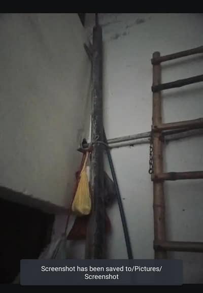 iron parnala