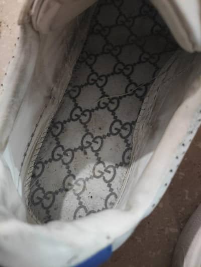 Gucci shoes