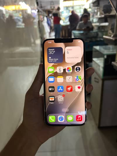 Apple iPhone 12 Pro Max