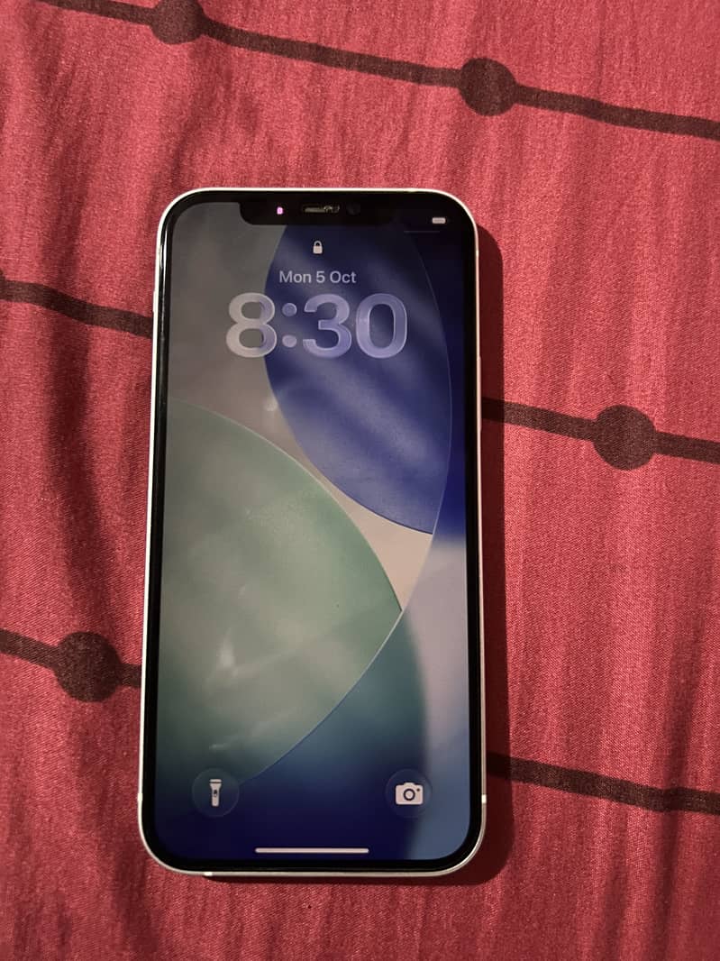 Apple iPhone 12 1