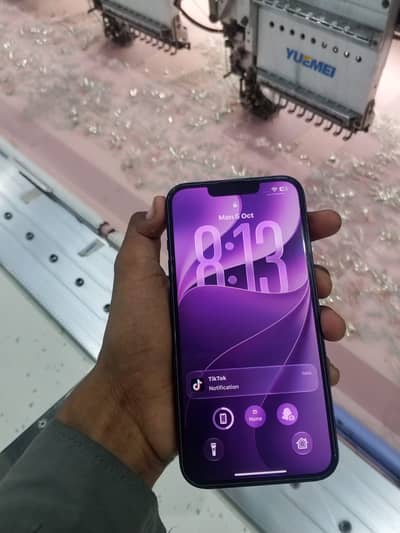 Apple iPhone 13
