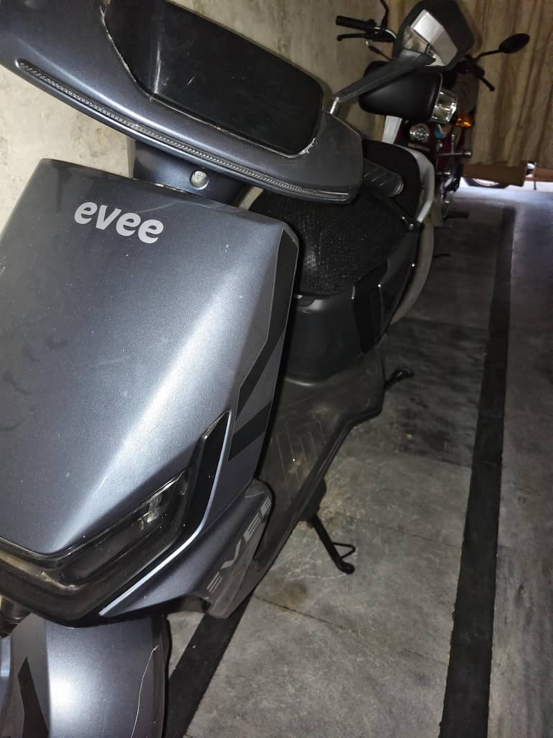 Evee. 2