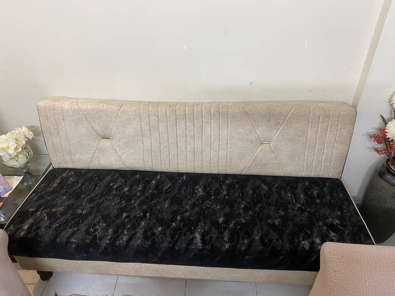 Sofa cum bed 2