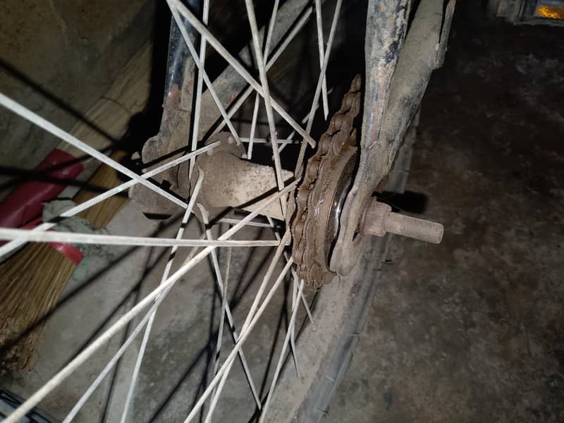 Free wheel cycle 1
