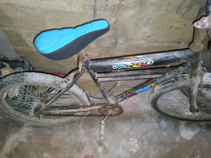 Free wheel cycle 2